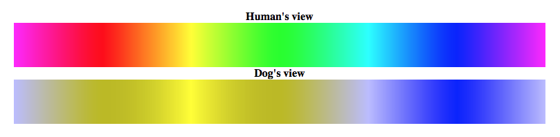 spectral differences in colour vision human vs.dog