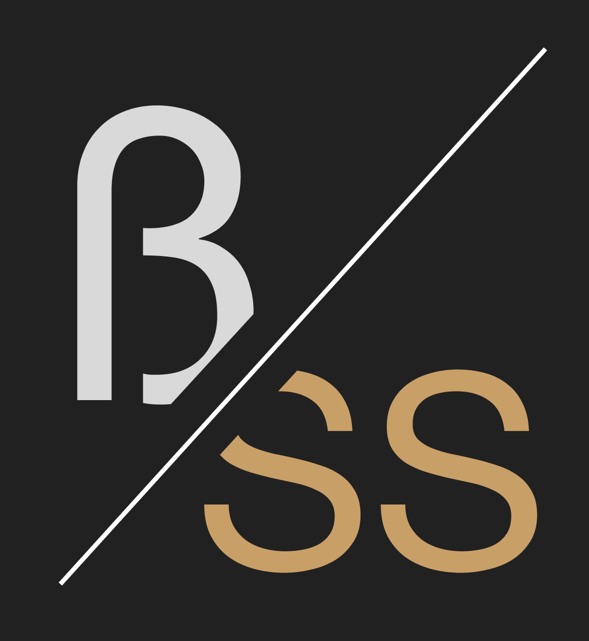 logo number 2 with the ß and ss separated by a diagonal line