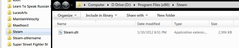 Screenshot Steam DLL Fix