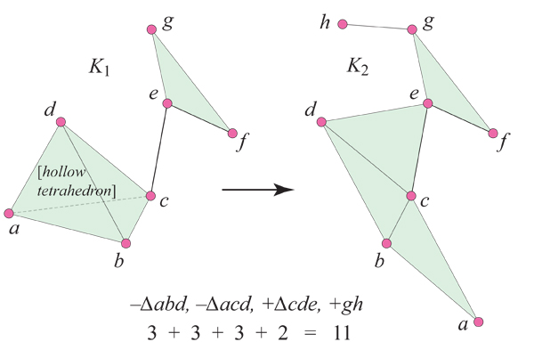 SimplicialComplex