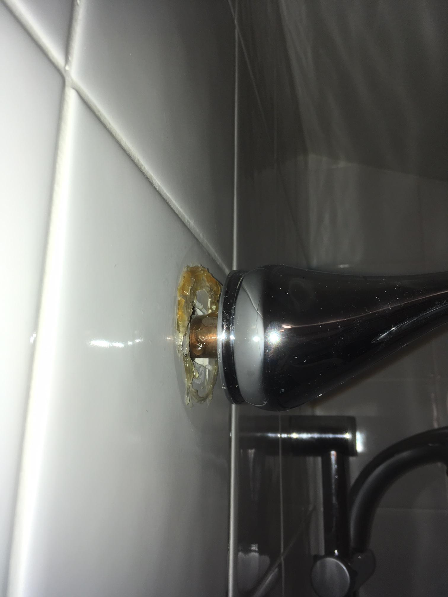 Shower arm photo 2