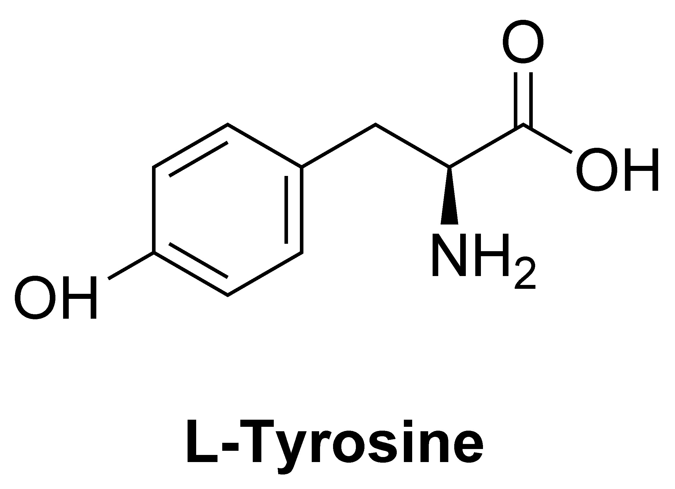 L-Tyrosine